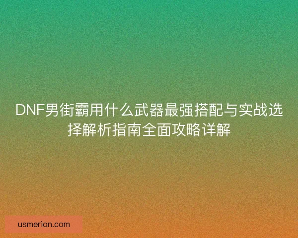 DNF男街霸用什么武器最强搭配与实战选择解析指南全面攻略详解